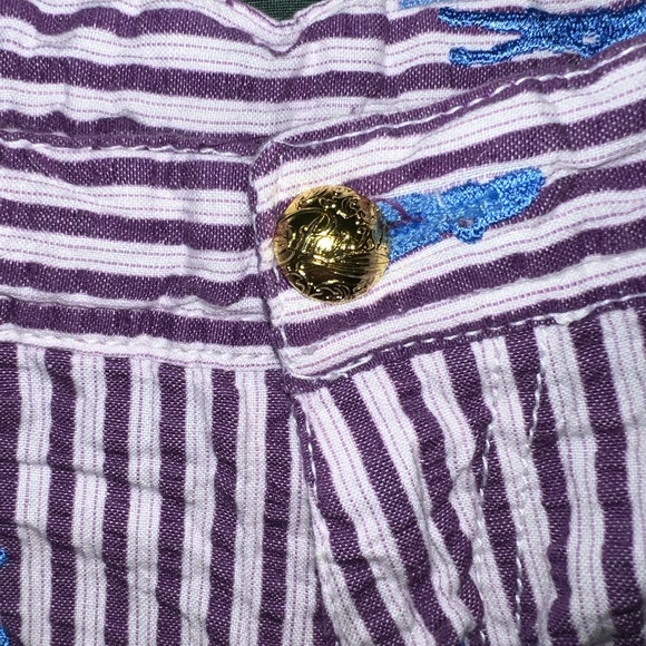 Vintage 80s Parish Striped Shorts Embroidered Designs Purple & Blue Size 32 - Picture 5 of 6